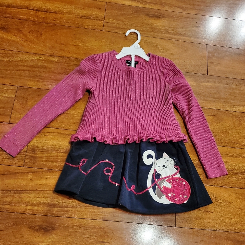 Sweater/Skirt Set(New/Never Worn)